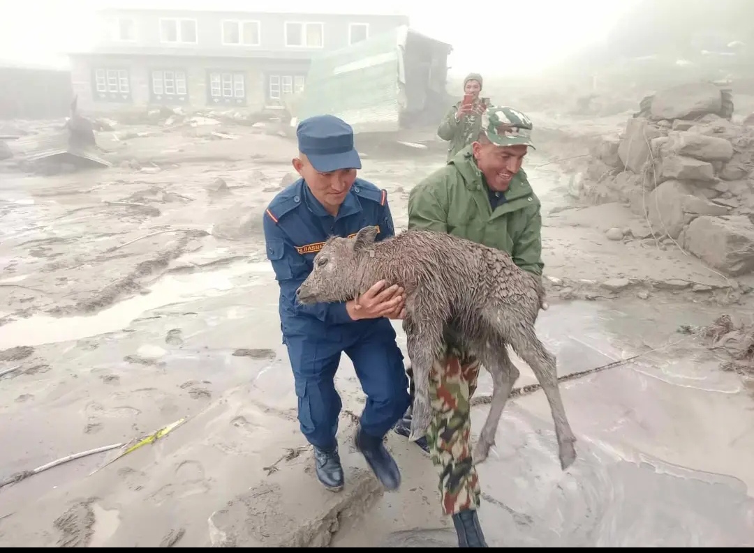 फोटोमा कैद सोलुखुम्बुको घटना : बाढी प्रभावित क्षेत्रमा सुरक्षाकर्मी उद्वारमा जुटे !